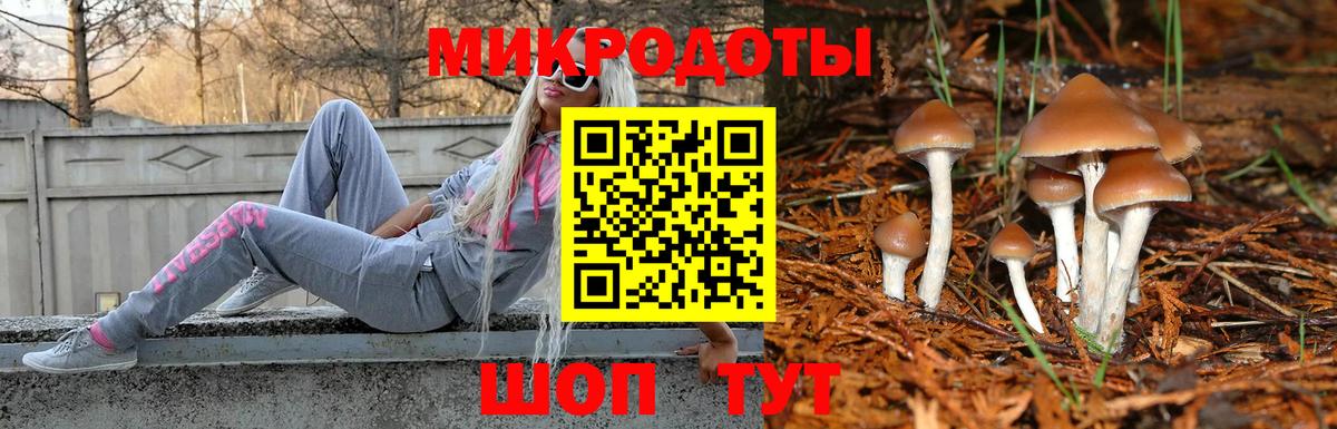 купить наркотики цена  Галлюциногенные грибы мицелий  Октябрьский  Вход с VPN  Галлюциногенные грибы Magic Shrooms 